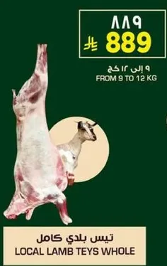 تيس بلدي كامل من 9 الي 12 كجم.