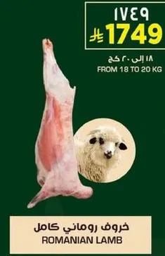 خروف روماني كامل
