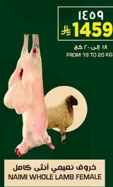 Naimi whole female lamb, weight from 18 to 20 kg.