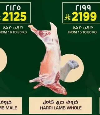 Whole Harri Lamb