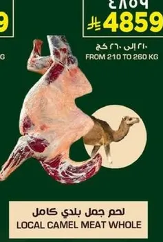 لحم جمل بلدي كامل