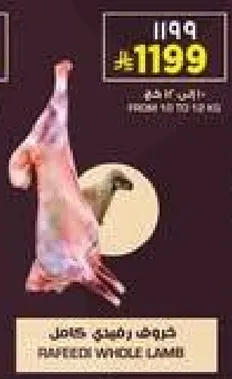 Rafidi Whole Lamb