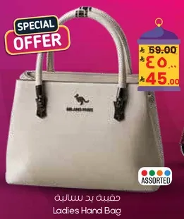 حقيبه يد نساييه