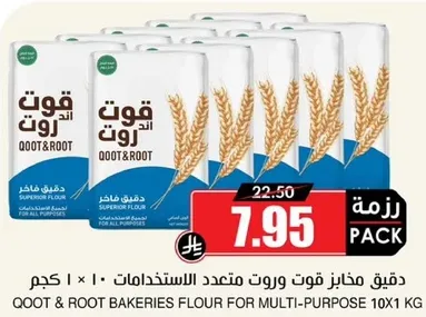 QOOT & ROOT BAKERIES FLOUR FOR MULTI-PURPOSE 10X1 KG