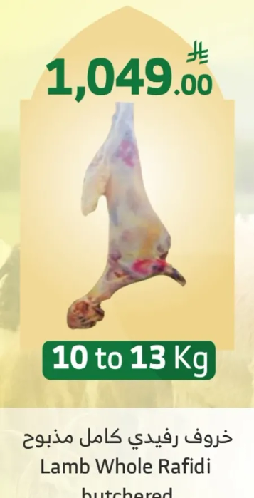Lamb Whole Rafidi butchered