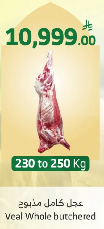 Veal Whole butchered