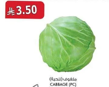Cabbage (PC)