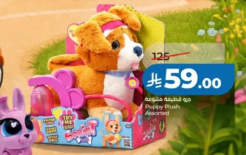 Puppy Plush Assorted