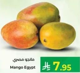مانجو مصري