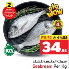 سمك الدنيس للكيلو