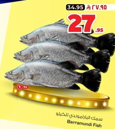 Barramundi Fish
