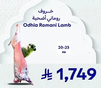 خروف روماني اضحيه