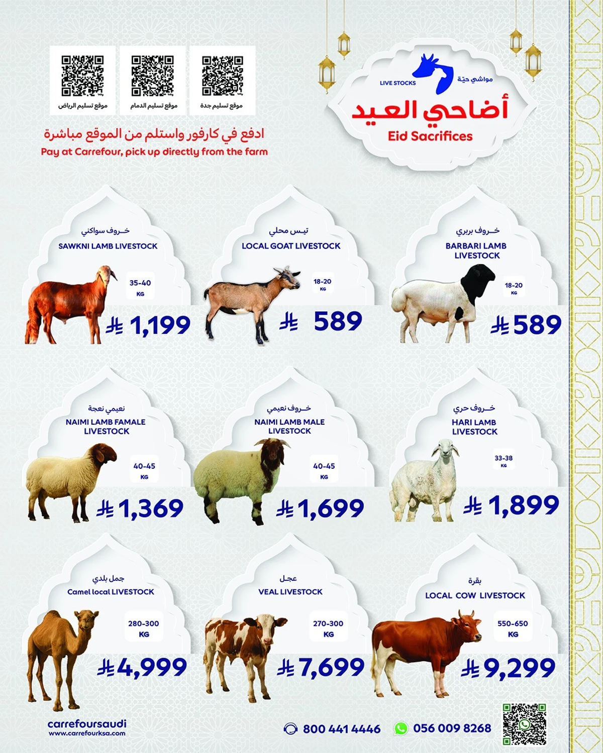 عروض الاضاحي