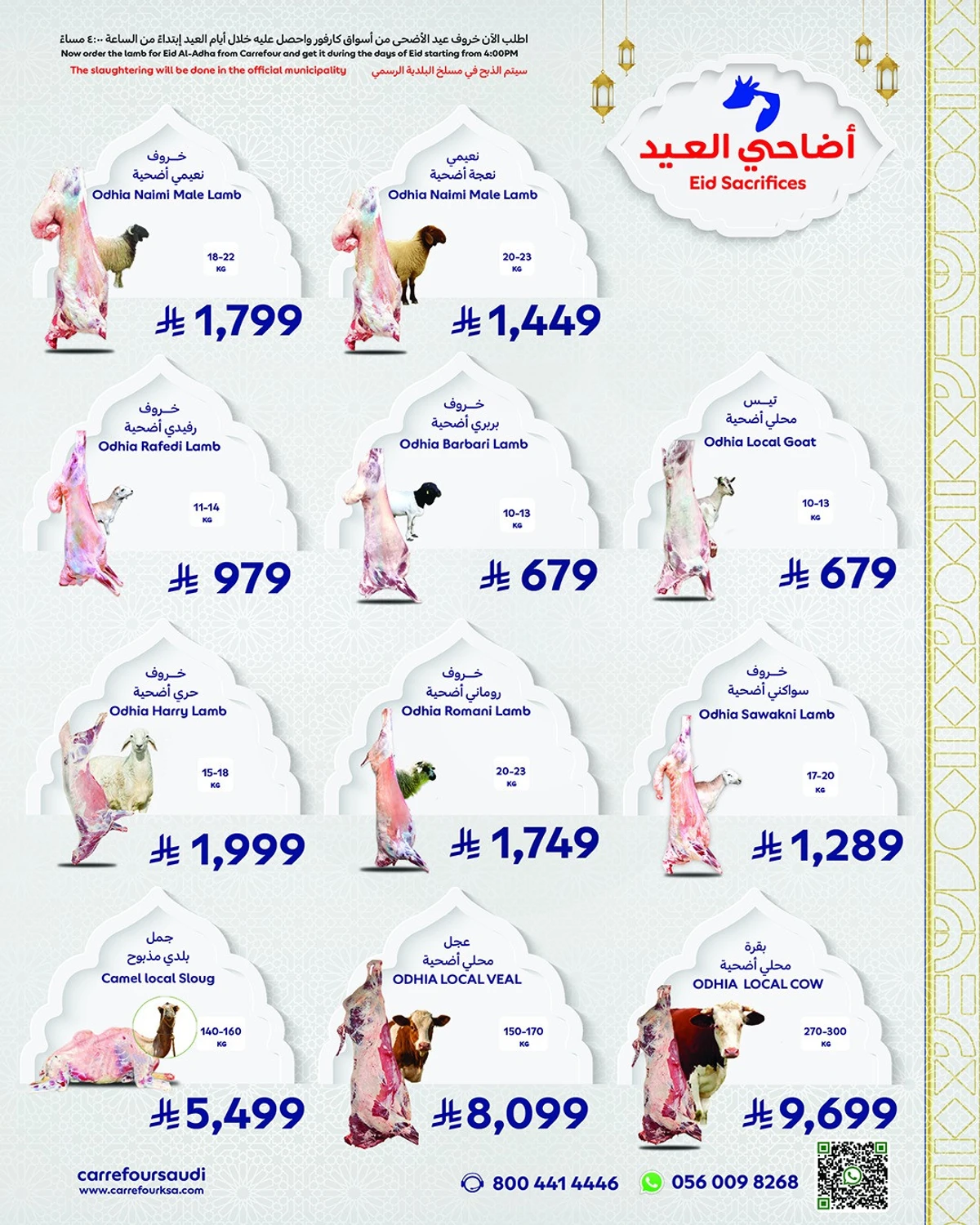 عروض الاضاحي - صفحة 2