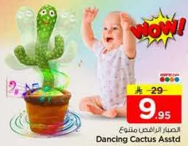 الصبار الراقص متنوع