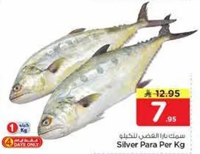 Silver Para Per Kg