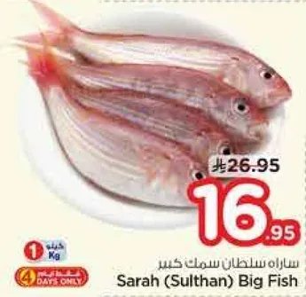Sarah (Sulthan) Big Fish