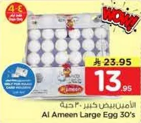 الامين بيض كبير 30 حبه