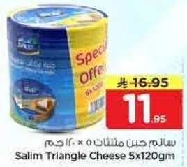 Salim Triangle Cheese 5x120gm