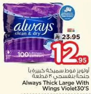 Always Thick Large With Wings Violet30's