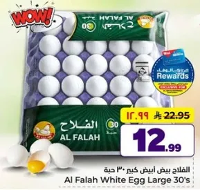 الفلح بيض ابيض كبير 30 حبه