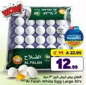 بيض ابيض كبير 30 حبه الفلاح