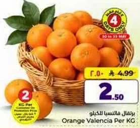 برتقال فالنسيا لكل كيلو