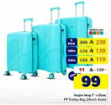 PP Trolley Bag 20 inch Assorted