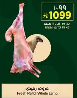 Fresh Rafidi Whole Lamb