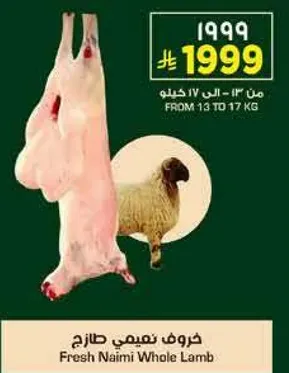 Fresh Naimi Whole Lamb