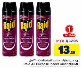 Raid All Purpose Insect Killer 300ml