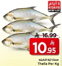 Thalla fish per kg