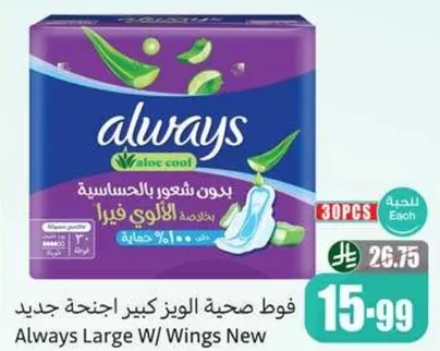 Always Large W/ Wings New