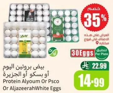 بيض بروتين اليوم او بسكو او الجزيره.
