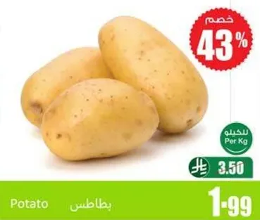Potato
