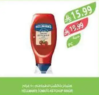 كاتشب هيلمانز 500 جرام