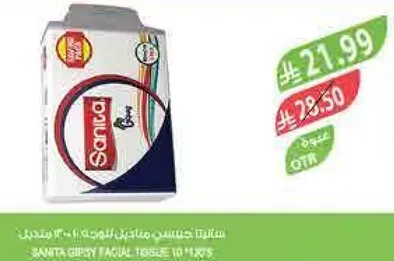 Sanita Gipsy Facial Tissue, 3 Packs of 100 Sheets