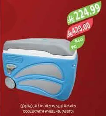 Cooler with wheel 45L (Assorted)