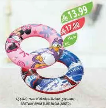 Bestway Swim Tube 56 cm (Assorted)