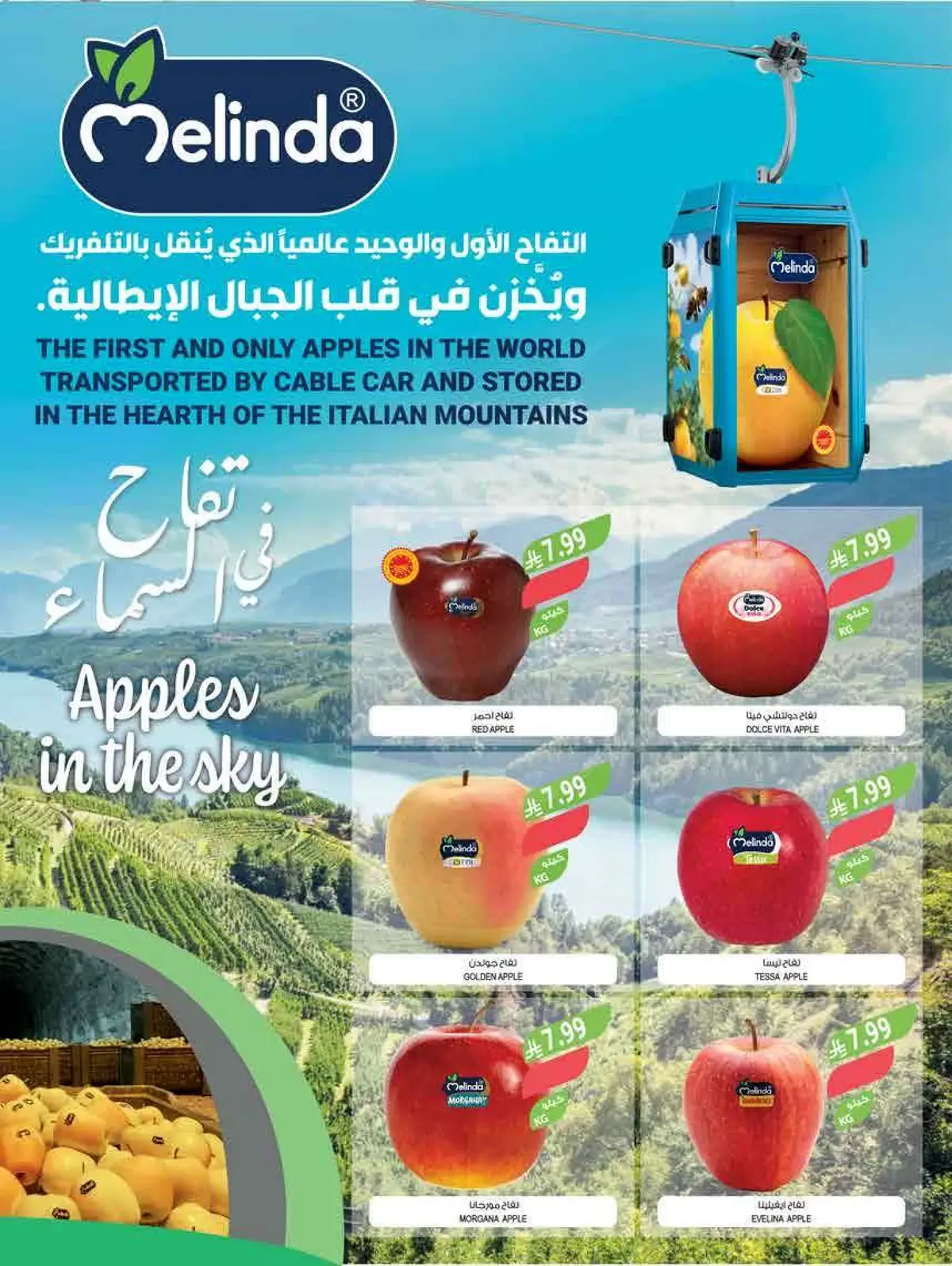 عيد أضحى مبارك - صفحة 48