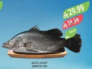 سمك طازج، متوفر بوزن 1 كجم.