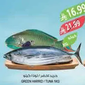 Green Harrid / Tuna 1kg