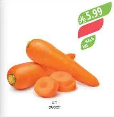 جزر