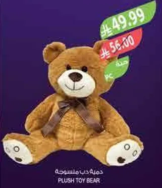 دب ملون