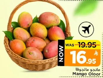 Mango Oloor