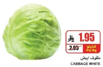 ملفوف ابيض
