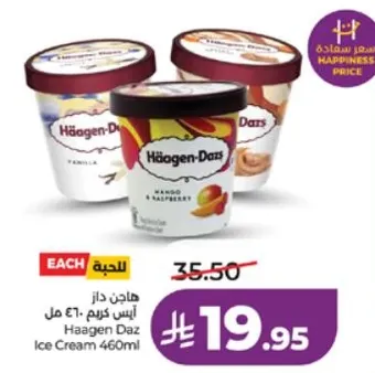 هاجن داز ايس كريم 460 مل