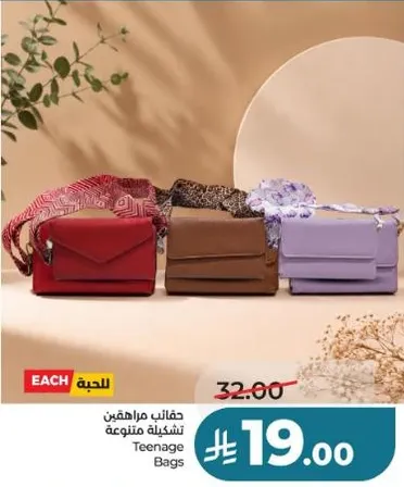 Variety of teenage bags.