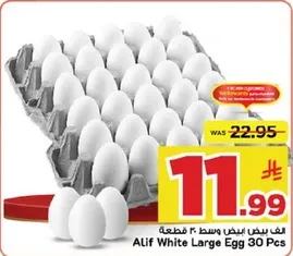 بيض ابيض كبير الف 30 قطعه