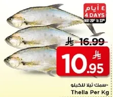 Fresh Thalla Fish per Kg